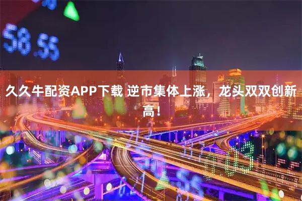 久久牛配资APP下载 逆市集体上涨，龙头双双创新高！